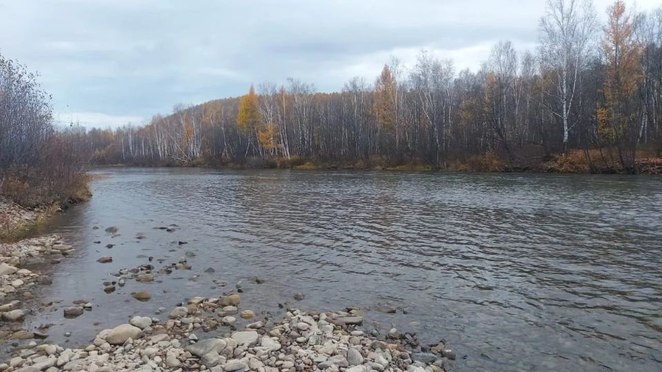 ������� ������ � �������� ������� �� 20 ������