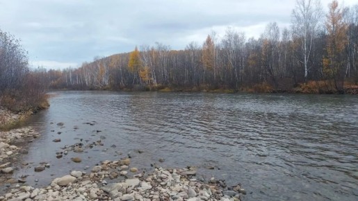 ������� ������ � �������� ������� �� 20 ������