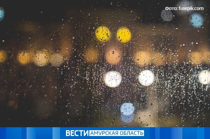 ������� ������� ������ � �����: ������ � ��������� �� 20 ������