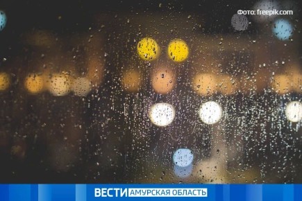 ������� ������� ������ � �����: ������ � ��������� �� 20 ������