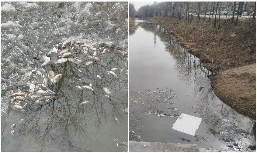 ����� ��������� ������� ���� �������� ���������� ������������� � ����������