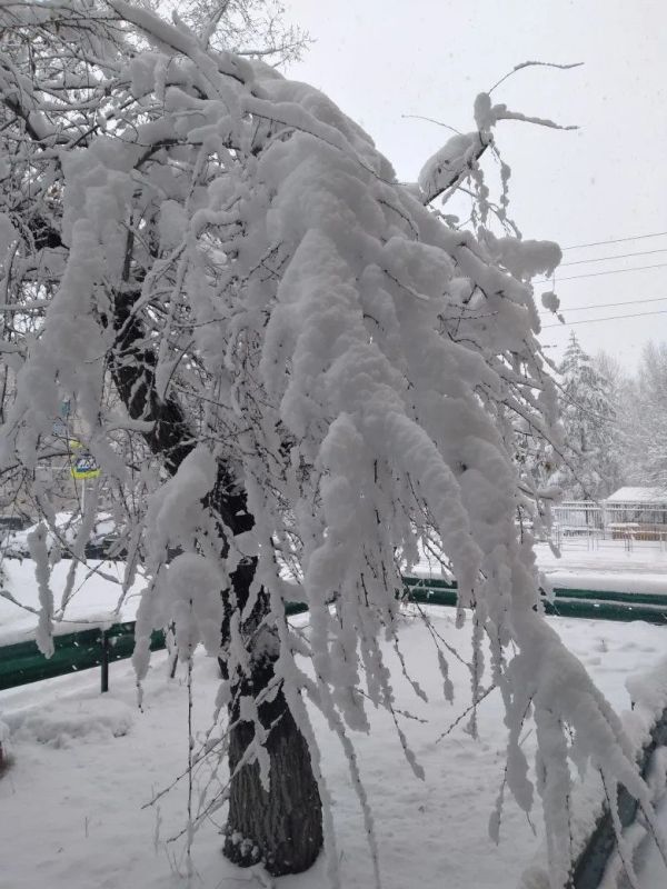 ����� ������ � ������ ��������� ���� ��������� ��������!