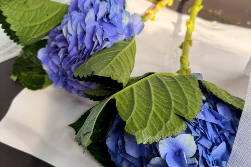 � �������� ������� �� ������� ������ ��������� �� �����