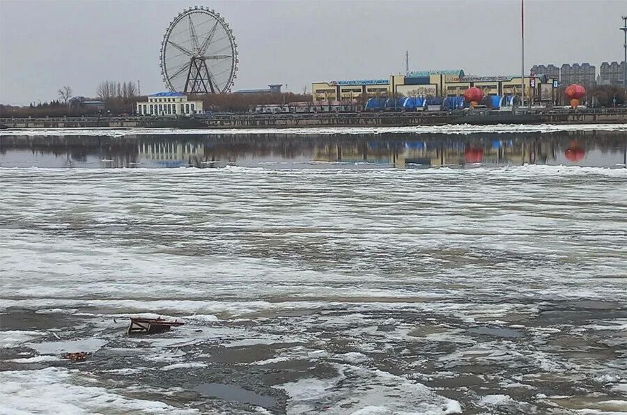 � ������ ������������� ��������� ����������� ���� ����