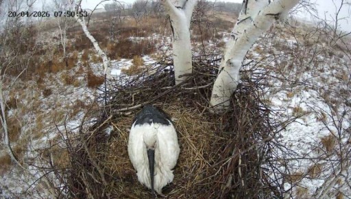 �����, ��������! ���� �������! ������ �� ����� ��������� ���