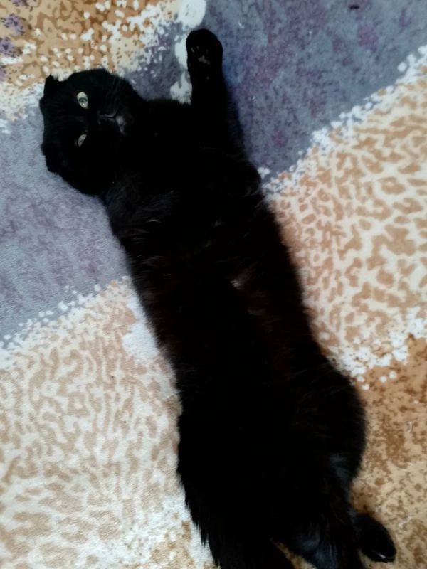 ������ ����� �����������?�