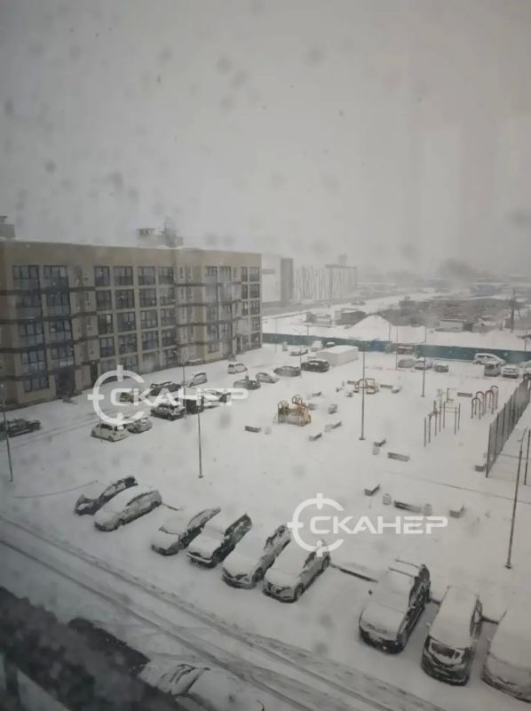 ��� ������ ����� ������� � ���������