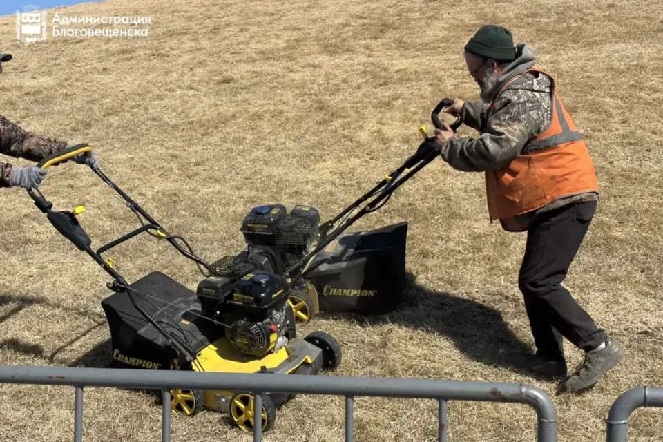 ������ ���������� �������� � ��������� �����: �������������� ���������� ������� � ������� ������