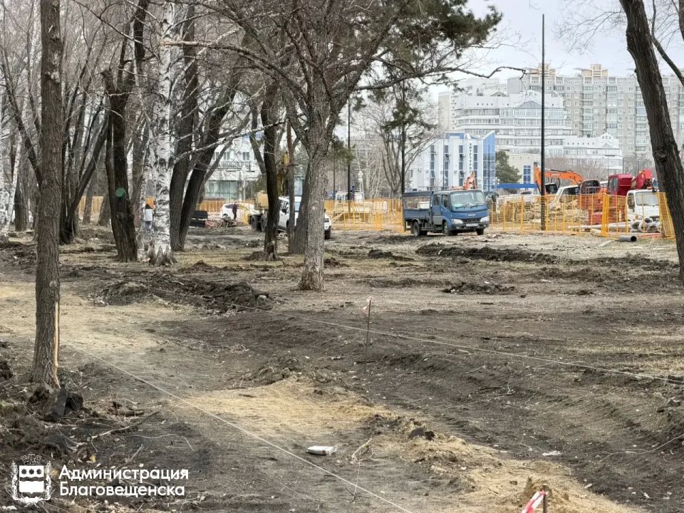 ����� ���� ����� �������������: ��������� ������� � �������� �������