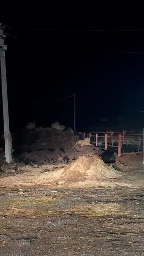 ���������� ������ ������?� � �������� ������ ������� �������, ����� �������� ����� �� ���������