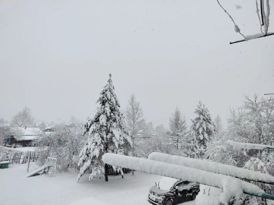 ������ ��������. ���������� ���������� �� �������� ���������� ������������ ������������ �� �� ������� �������� �������!