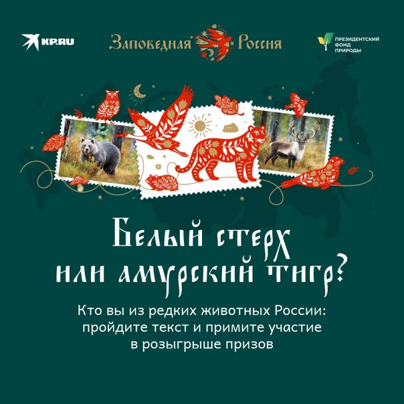 ���� ������ ������: � ������� ���� ���� ����� � �����-�����������, ������� ������� �������� � �������� ��� ��������