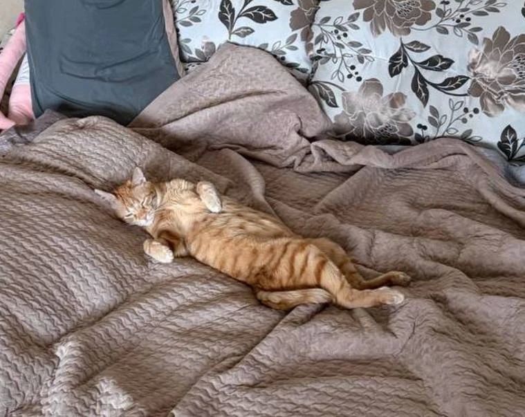 ���� �������� �� ����..#��������_���_��_���������_��