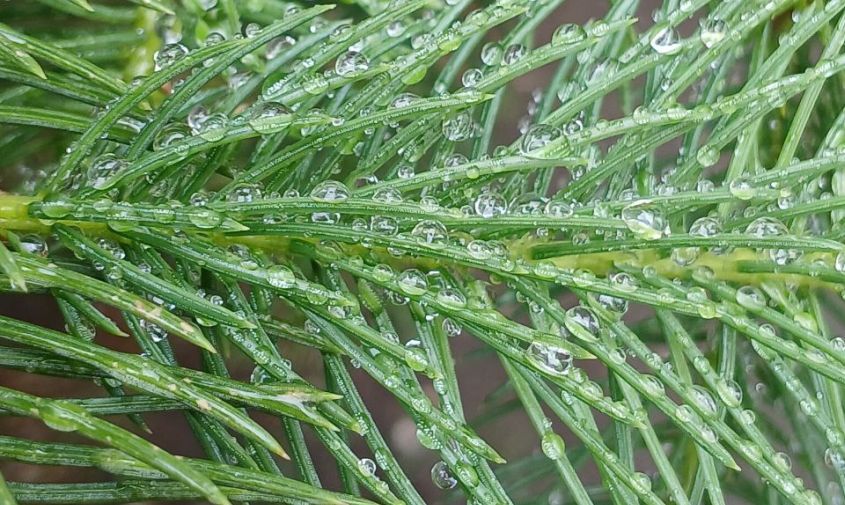 ��������� ������ �������� � ��������� ������ � ����� ������