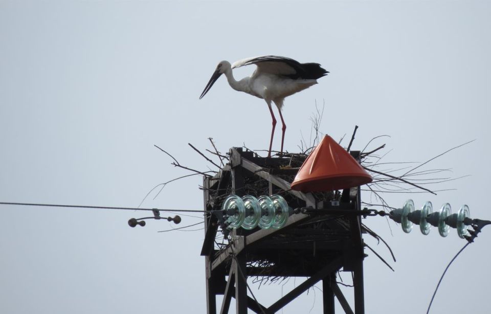 +1. � ������������ ��������� ������� ���� ������ ������ ���� ������