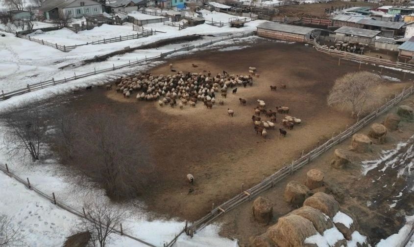 ������������ ������� ����������������� ���������� ��������� � ���������������� ���������� ���������