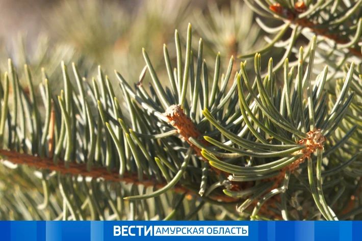 ���� � �����: ������ � ��������� �� 22 ������