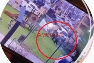 ��������� ��������� �����������: ��� ������ ���������� �� �������������, ������� ��������� ����������� ����� � ��������������