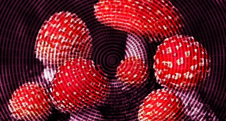 ������� �����: ����� �� ���������?