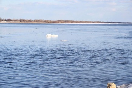 �������� ��������� ������������ ����������� �� ������ ������� ��-�� ������ �������