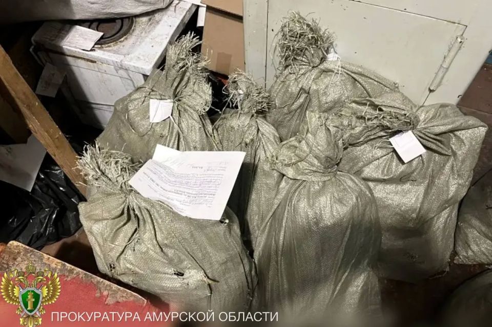 � ����������� ������������� ������ ������� ������ ���������� �������� �� �������� ������������ ������� ������������ ��������