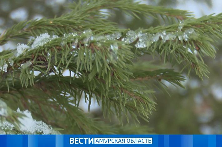 ���������� ����: �������� ������� �������� �������