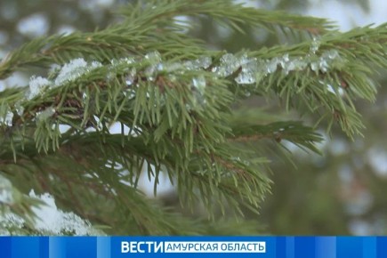 ���������� ����: �������� ������� �������� �������