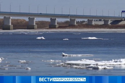 ������ �����������: ������ �� 23 ������ � ���������