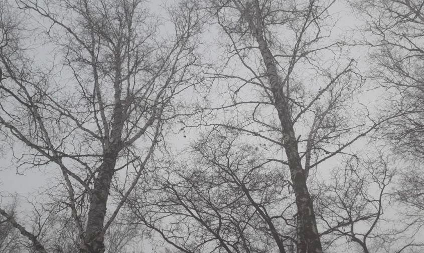 ���������: ��� �������� ����� ������� ��������� �� ����� ���������, �������� �����������