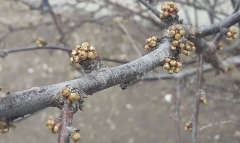 ������� ������ � �������� ������� �� 23 ������