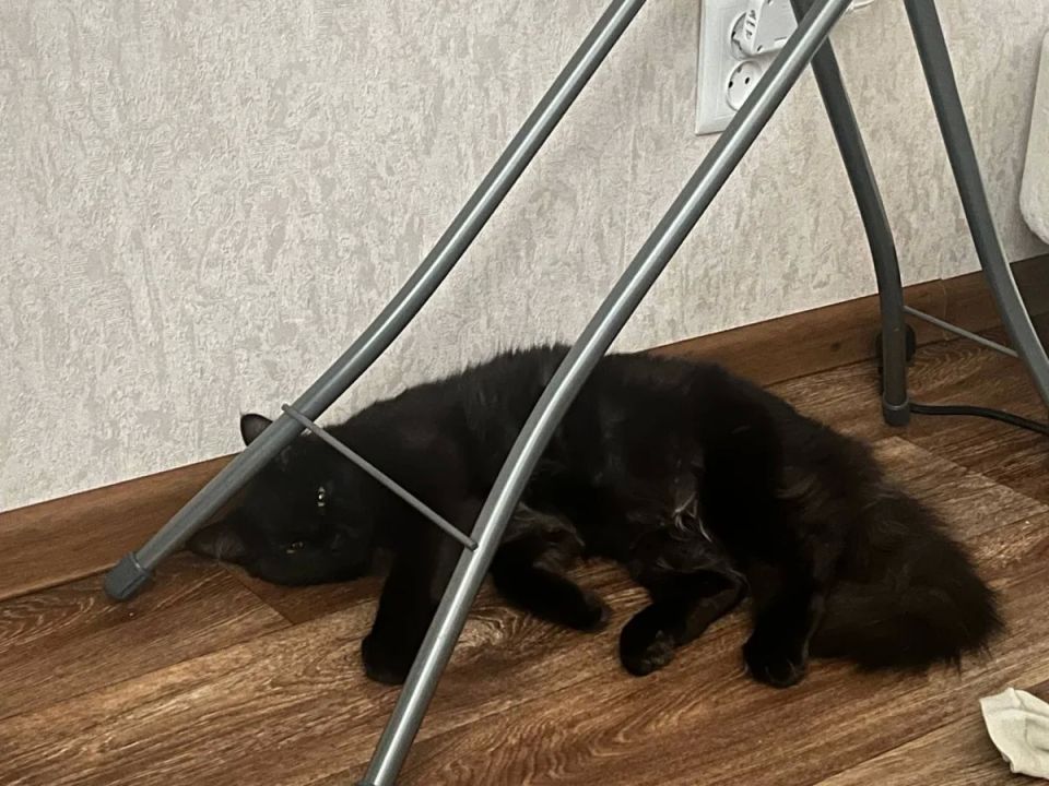 �������� �������� �� ������� ������