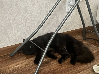 �������� �������� �� ������� ������