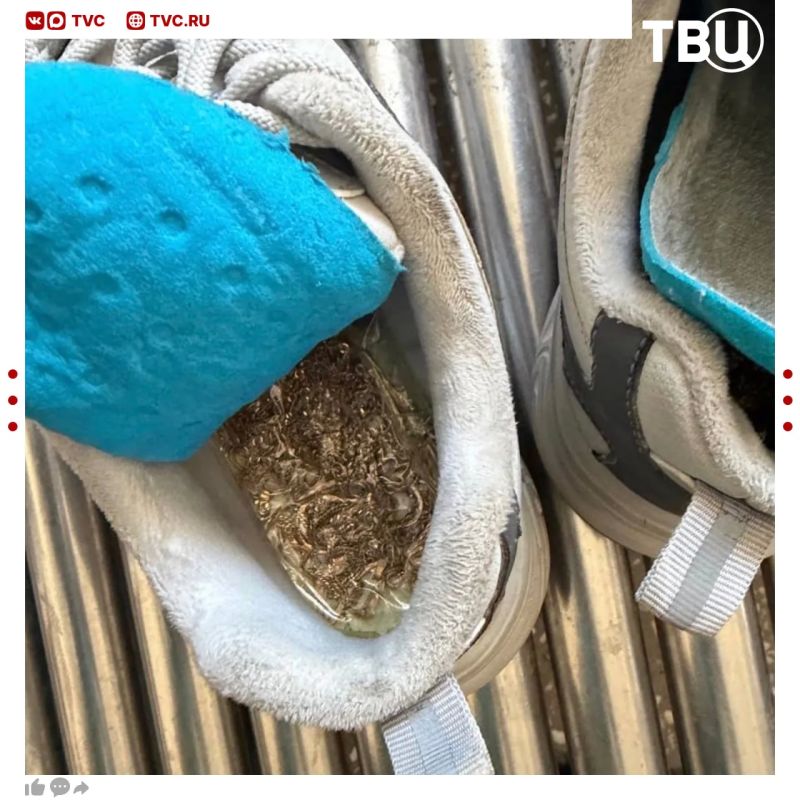 ������� ��������� ������ ����������� � ���������� ������� � ���������