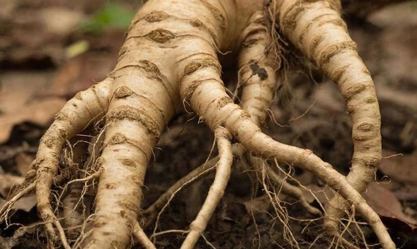 � ��������� ��� �� ������ ��� ��� ��������� ���, ������� ����� ������� �� ������ �������� �� 35 ��������� ������