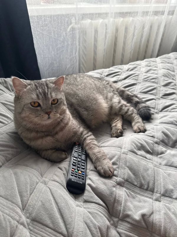 ������� ������ ..#��������_���_��_���������_��