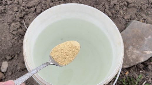 ��� ������������ ����� � ������� ����� �������� � ����������