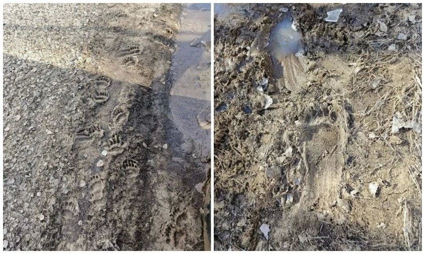 �������� ��������� �� �������, ������ � �� ������: � ��������� ���������� �������� ����� �������� � ����