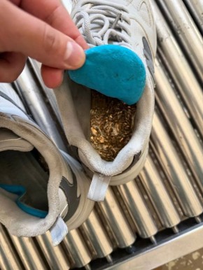 ������ �� 2,5 ��� ������ ������� � ��������� ����������, ����� ������� �� ������������� � �����