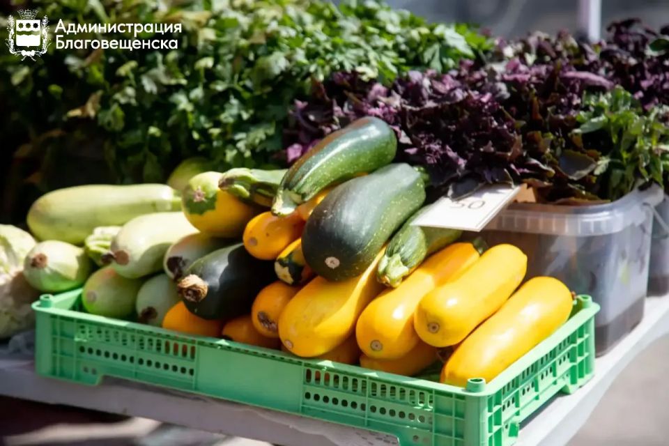 200 ����� ������ ������� �������� ����������������� �� ���������� �������� �� ������ �������������