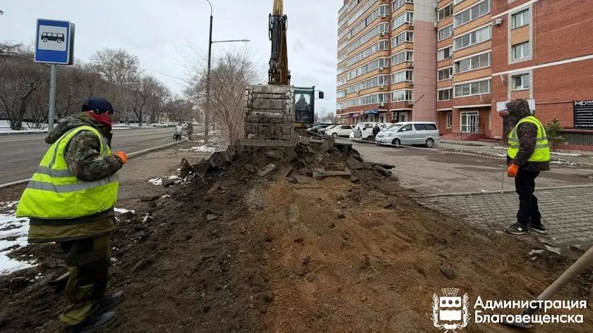 ����� ������������� ������ ������� ��� ���������