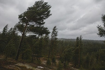 � ��������� 24 ������ ��������� ��������� �������� �������