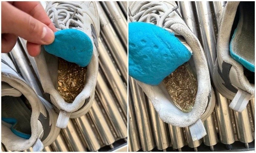 �������� �� 2,5 �������� ������ ����� � ����� ���������� �� ���������-��������� ������� � �������������