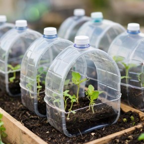 ��� ���� ����������� �������� ������ �����: ����-������� ��� �������� ��������