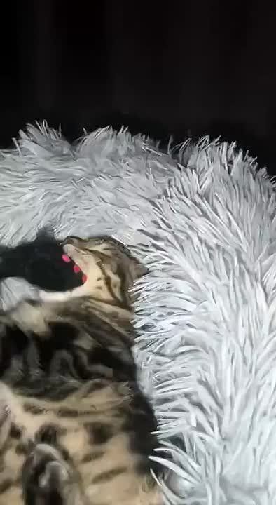 ������ ����!. ������ ����� � �������