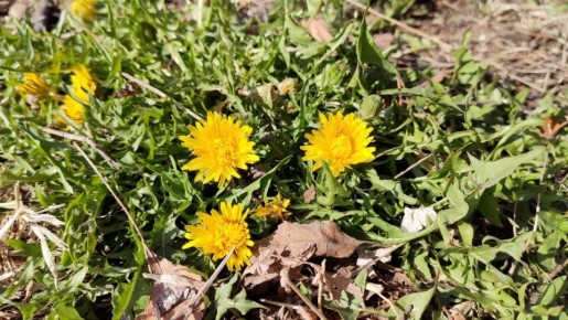 �������� ���� �������� � � �������, ����� �� ������ ���������� ���� �� ������ ���� �������� ��� � ����������, ��� ������ �� ���� ��� � � ���