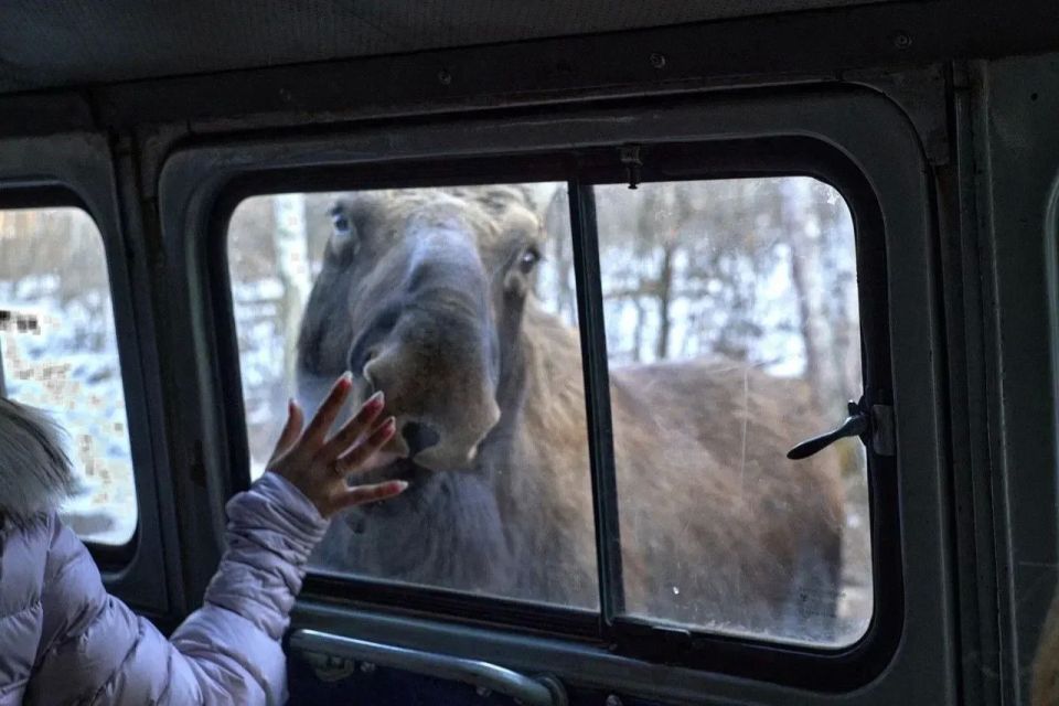 ��� �������� ��������� ������� ������ ���������� �����������