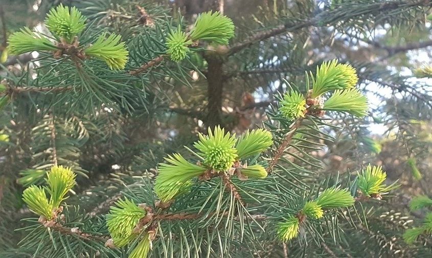 ������� ������ � �������� ������� �� 24 ������