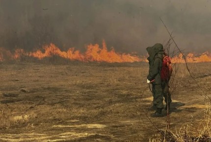 ���������� ����������: � ������ ������������� �� 20 ���� ������������� 29 ����� ����� ��������������