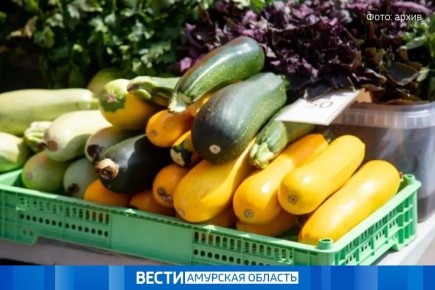 ��� � �������� �� ���������� � �������: � ������������� ������������ �����