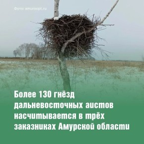 ��� ��������, ����������� � ������������ ��������� � ����� ����������� ����� ������� ��������� ������������� ����